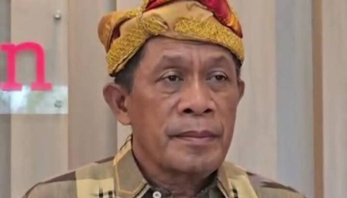 Wagub Sultra Hadiri Pembukaan Festival Liangkabori 2025
