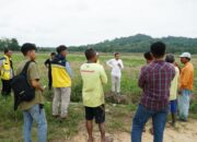 Bupati Konawe Sambangi Lokasi Titik Persawahan yang Terancam Gagal Panen di Kecamatan Uepai