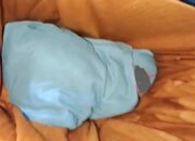 Begini Kronologi Penemuan Bayi Laki-Laki di Kelurahan Baruga