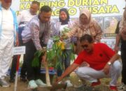Kecamatan Padangguni Jadi Kampung Durian, Bupati Konawe: Ini Bagian dari Program Pemerintah Daerah