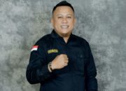 Ketua LMP Sultra Apresiasi Satgas PKH Segel Pertambangan Nikel PT TMS di Kabaena