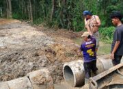 Bertahun-tahun Tak Digubris Kades, Warga Desa Lamoeri Swadaya Bangun Akses Kebun