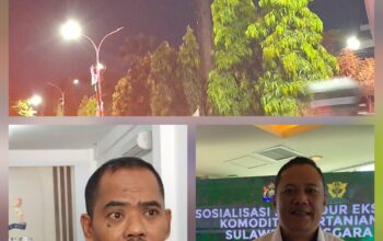 Baliho Gubernur Sultra Sendirian, Kadin Sultra Buka Suara