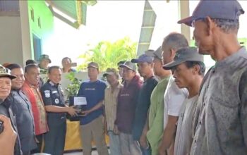 Bupati Konawe Serahkan Bantuan 500 Bibit Alpukat, Dorong Peningkatan Pertanian