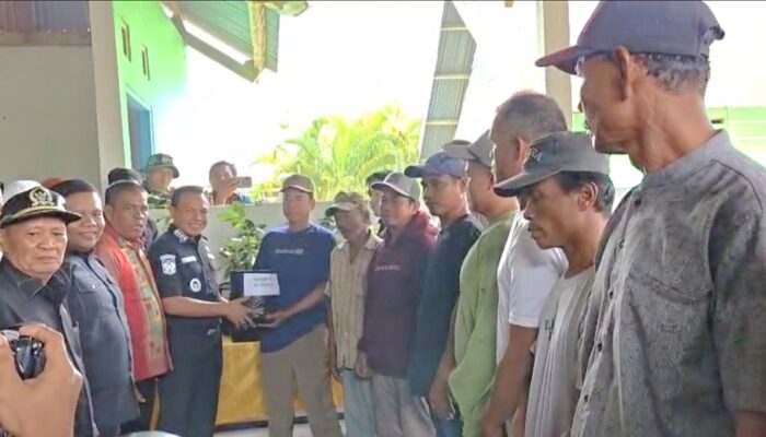 Bupati Konawe Serahkan Bantuan 500 Bibit Alpukat, Dorong Peningkatan Pertanian