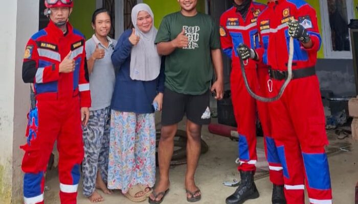 Ular Cobra Berhasil Dievakuasi di BTN Green Dirland Kendari
