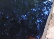 Belasan Tahun Cemari Kali Wuawua, Limbah Lindi TPA Puwatu Kendari Belum Ditangani