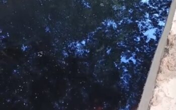 Belasan Tahun Cemari Kali Wuawua, Limbah Lindi TPA Puwatu Kendari Belum Ditangani