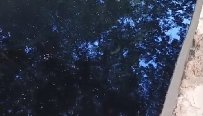 Belasan Tahun Cemari Kali Wuawua, Limbah Lindi TPA Puwatu Kendari Belum Ditangani