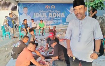 Anton Timbang dan Anindya Bakrie Bersinergi, Kadin Sultra Bagikan Kurban Tiga Sapi