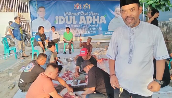 Anton Timbang dan Anindya Bakrie Bersinergi, Kadin Sultra Bagikan Kurban Tiga Sapi