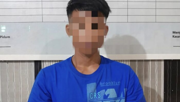 Diduga Lakukan KDRT, Pria di Kendari Ditangkap Satreskrim