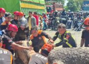 Pohon Tumbang Timpa Mobil di Parepare, Penjual Kopi Luka Ringan