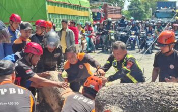 Pohon Tumbang Timpa Mobil di Parepare, Penjual Kopi Luka Ringan