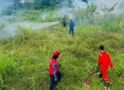 Kebakaran Lahan di Belakang Pasar THR Kendari Dipicu Puntung Rokok, Api Nyaris Merambat ke Kios