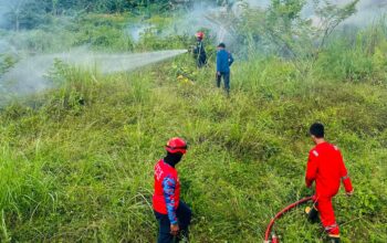 Kebakaran Lahan di Belakang Pasar THR Kendari Dipicu Puntung Rokok, Api Nyaris Merambat ke Kios