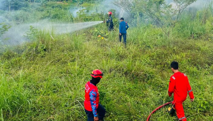 Kebakaran Lahan di Belakang Pasar THR Kendari Dipicu Puntung Rokok, Api Nyaris Merambat ke Kios