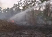 Kebakaran Lahan di Bonggoeya Kendari Berhasil Dipadamkan, Tak Ada Korban Jiwa