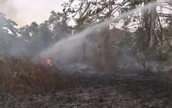 Kebakaran Lahan di Bonggoeya Kendari Berhasil Dipadamkan, Tak Ada Korban Jiwa