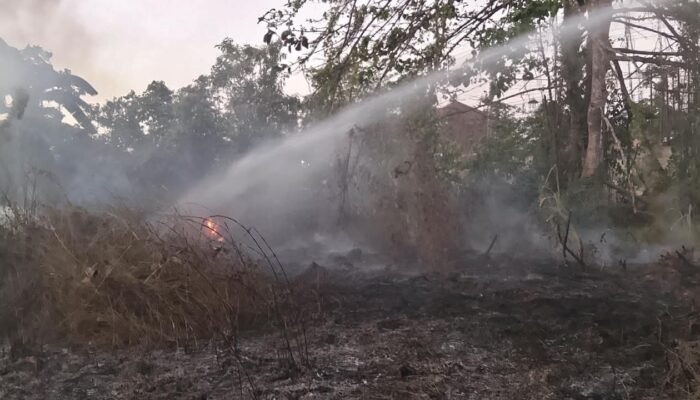 Kebakaran Lahan di Bonggoeya Kendari Berhasil Dipadamkan, Tak Ada Korban Jiwa