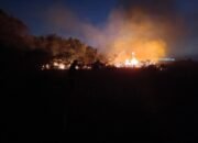 Damkarmat Kendari Padamkan Kebakaran Lahan Milik Timber Group di Poasia