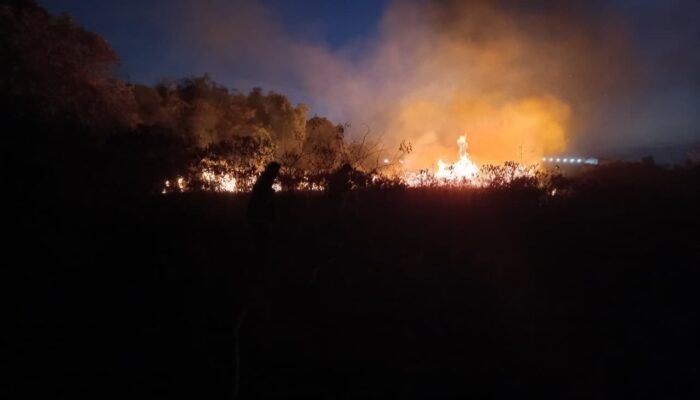 Damkarmat Kendari Padamkan Kebakaran Lahan Milik Timber Group di Poasia